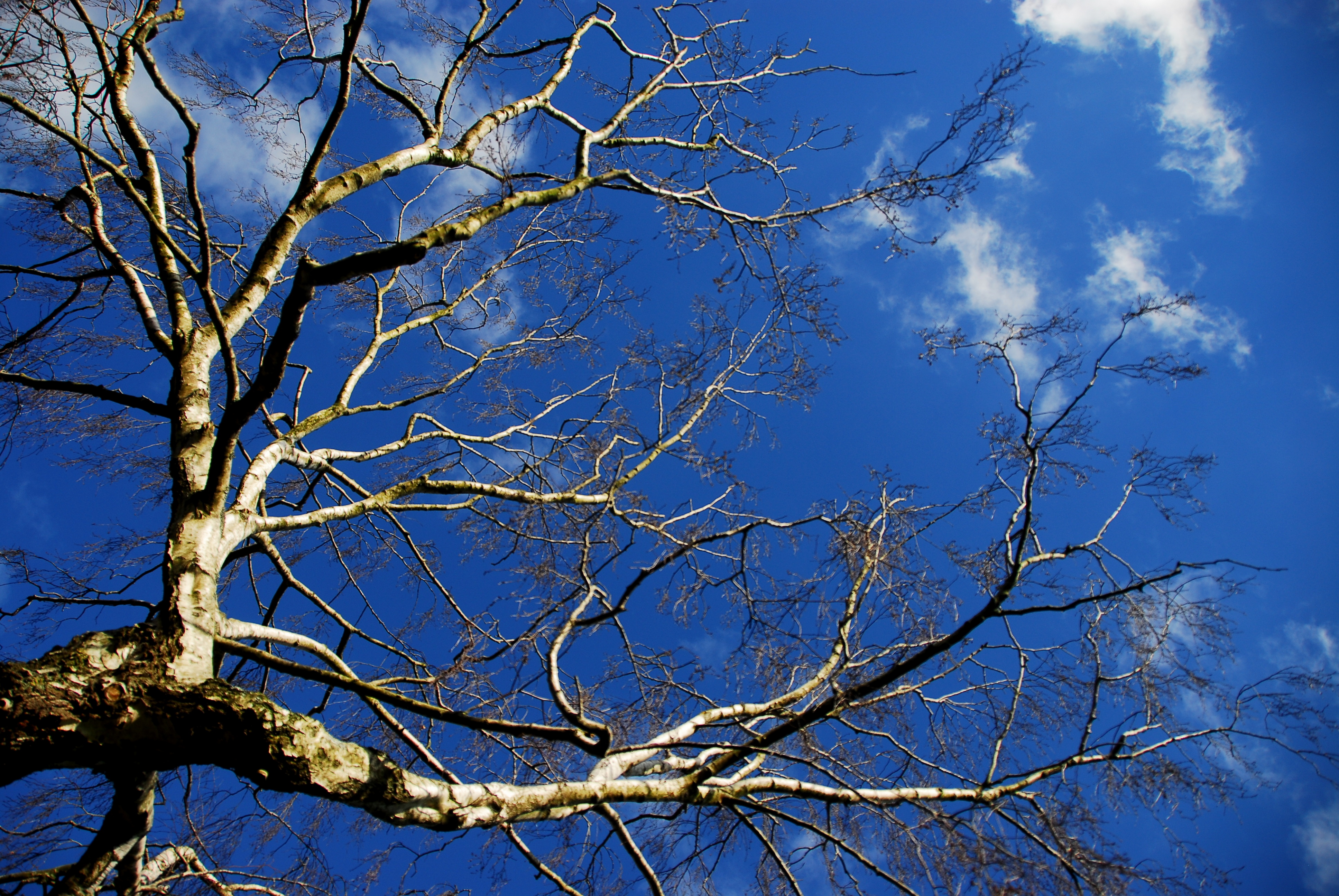 Victoria Park, Bristol