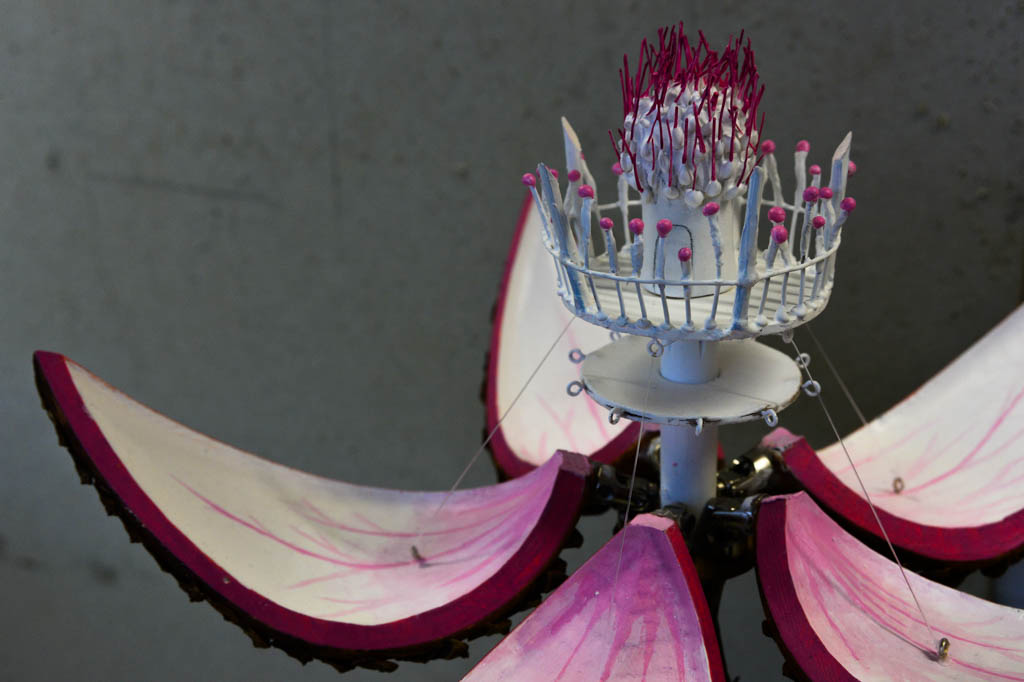 Experimental models